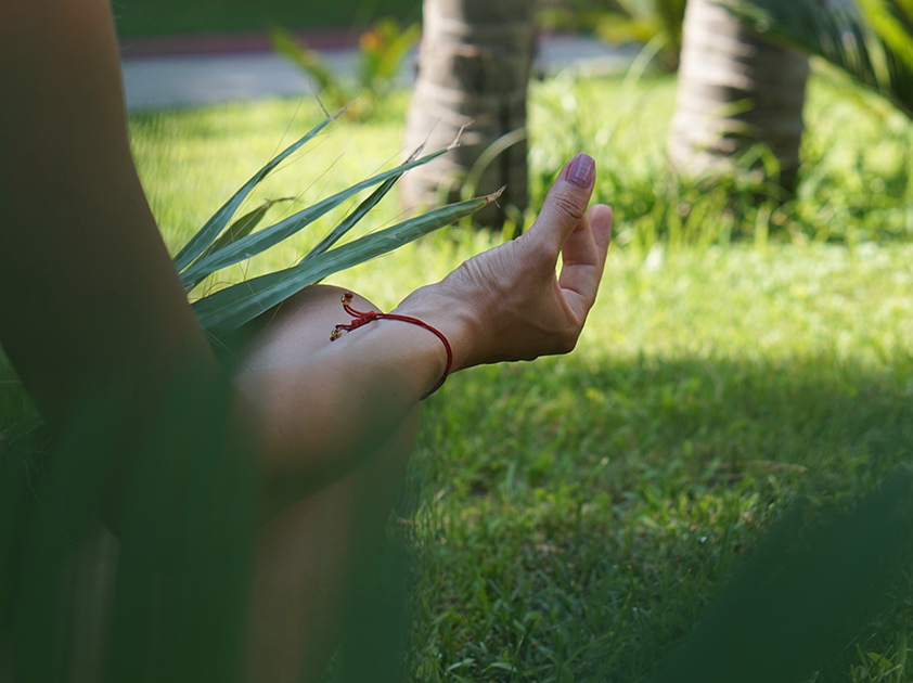 mudra-main-nature